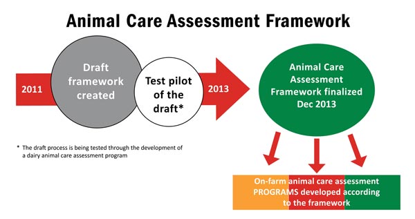 Animal Care Assessment Framework