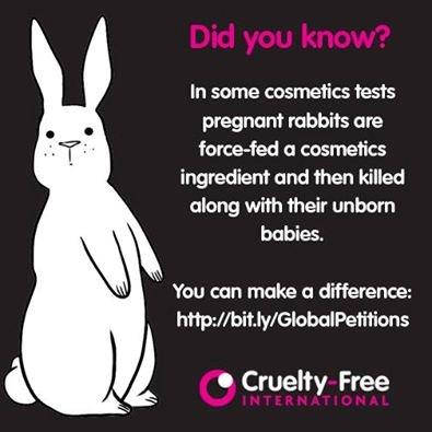 Standing Up For Animal Rights animal%20testing%20rabbits